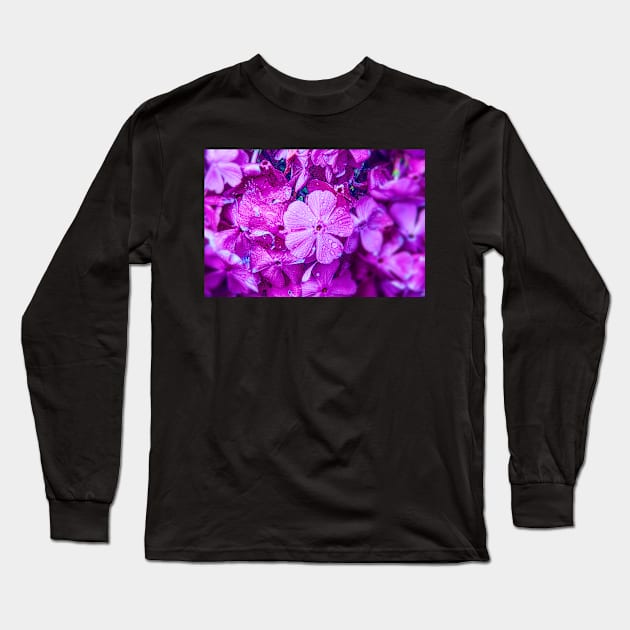 Violets Long Sleeve T-Shirt by Graz-Photos